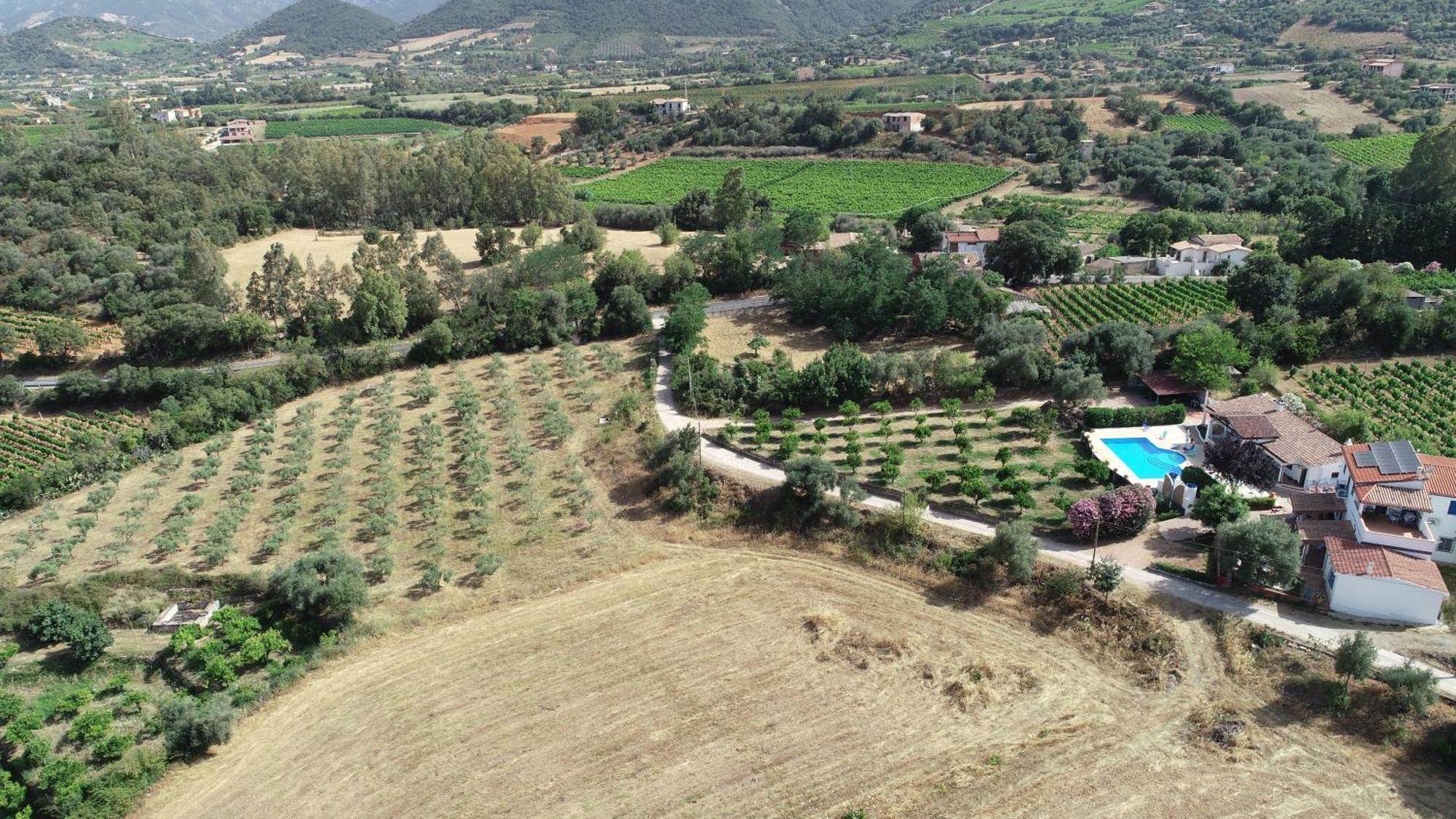 Domo Mea Villa Cardedu Bagian luar foto