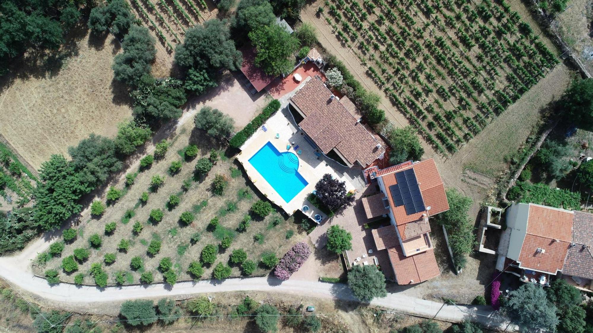 Domo Mea Villa Cardedu Bagian luar foto